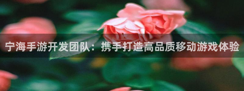 加拿大预测28大神网