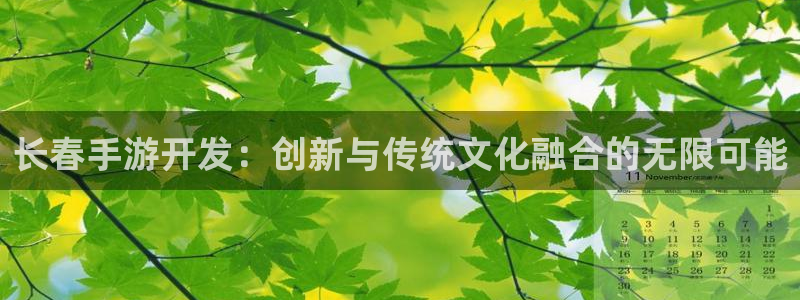 大神28杀组合