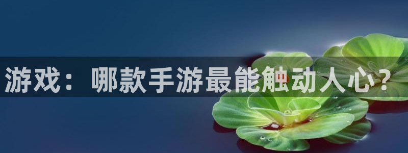 大神28大发28：游戏：哪款手游最能触动人心？