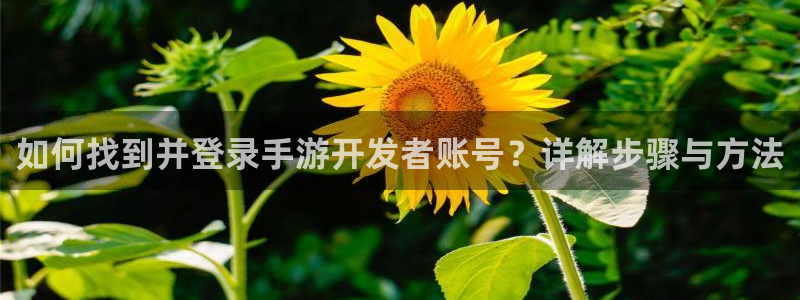 28大神开奖软件：如何找到并登录手游开发者账号？详解步骤与方
