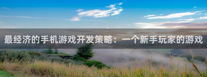 大神吧pc28软件：最经济的手机游戏开发策略：一个新手玩家的