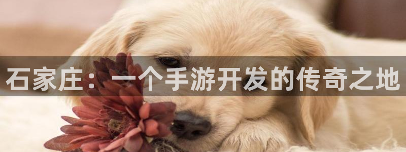 大神吧论坛28算法：石家庄：一个手游开发的传奇之地