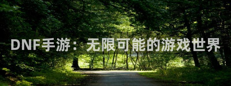 28大神预测组合：DNF手游：无限可能的游戏世界