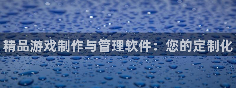 大神吧论坛28算法：精品游戏制作与管理软件：您的定制化