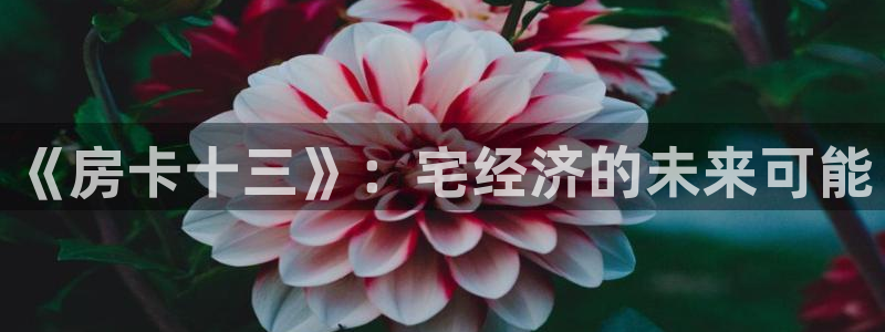 大神28开奖官网下载：《房卡十三》：宅经济的未来可能