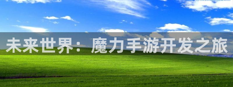 28大神网页：未来世界：魔力手游开发之旅