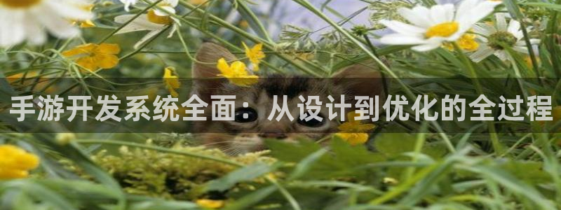 大神28历史：手游开发系统全面：从设计到优化的全过程