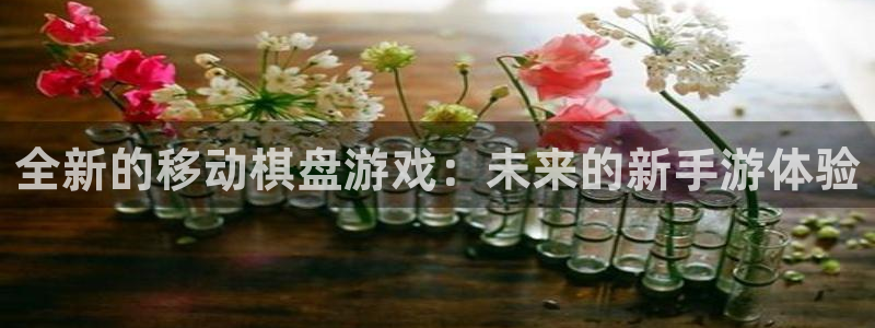 大神加拿大pc28：全新的移动棋盘游戏：未来的新手游体验