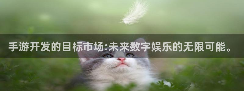 28大神开奖查询：手游开发的目标市场:未来数字娱乐的无限可能