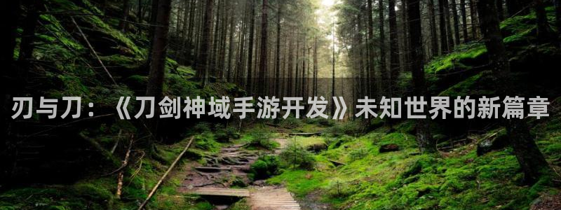 大神吧28官网预测：刃与刀：《刀剑神域手游开发》未知世界的新