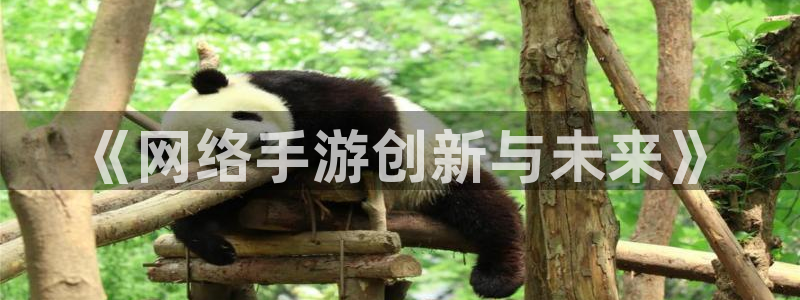 大神pc28官网开奖：《网络手游创新与未来》