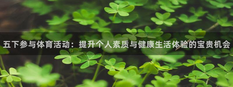 xc体育app官方网站