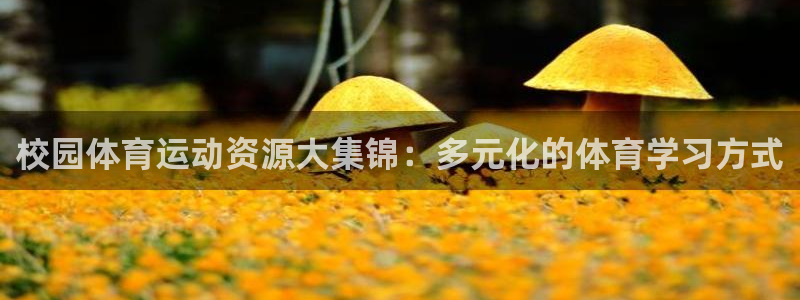 xc体育app官方网站